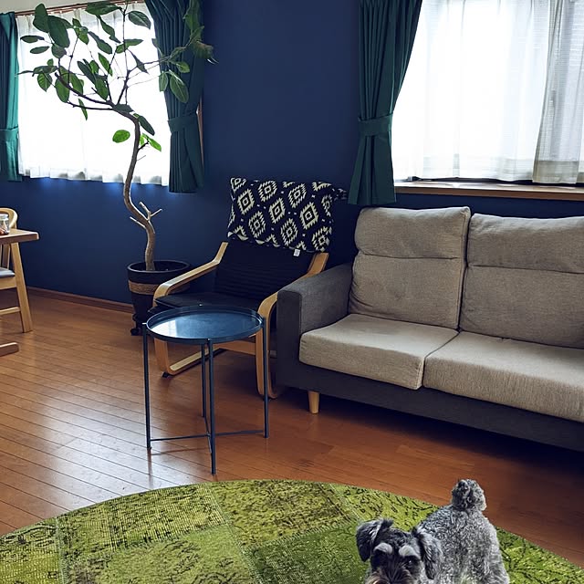リビング/観葉植物/IKEA/北欧のインテリア実例 - 2024-09-15 09:53:26