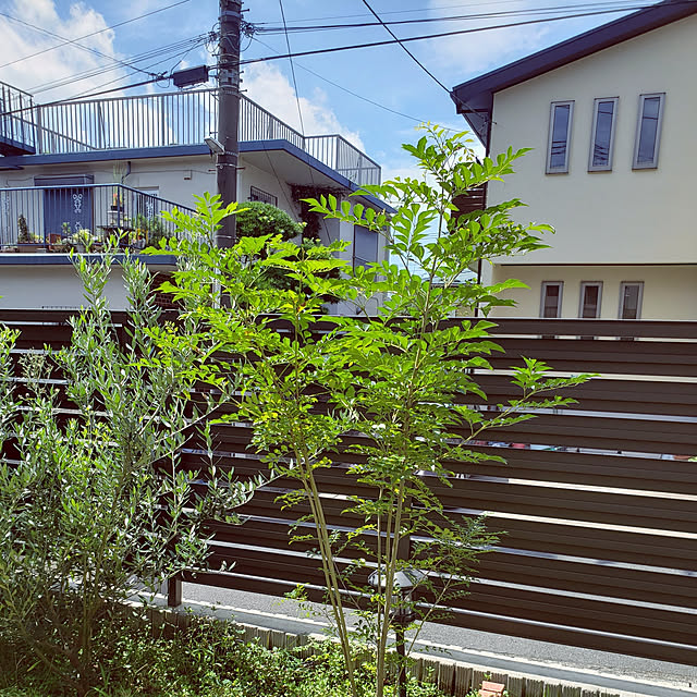 masaさんの実例写真