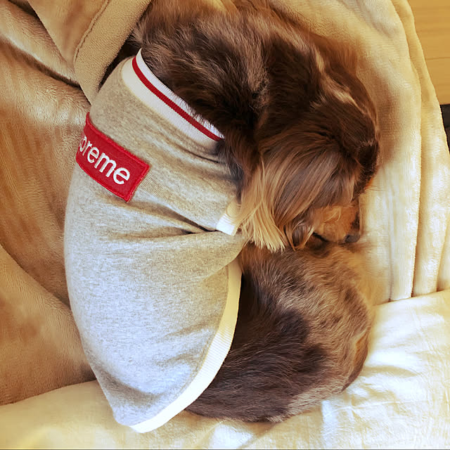 cocoaさんの実例写真