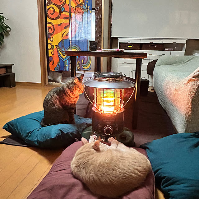 mikan161さんの実例写真