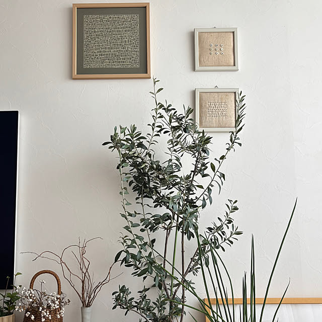 hannaさんの実例写真