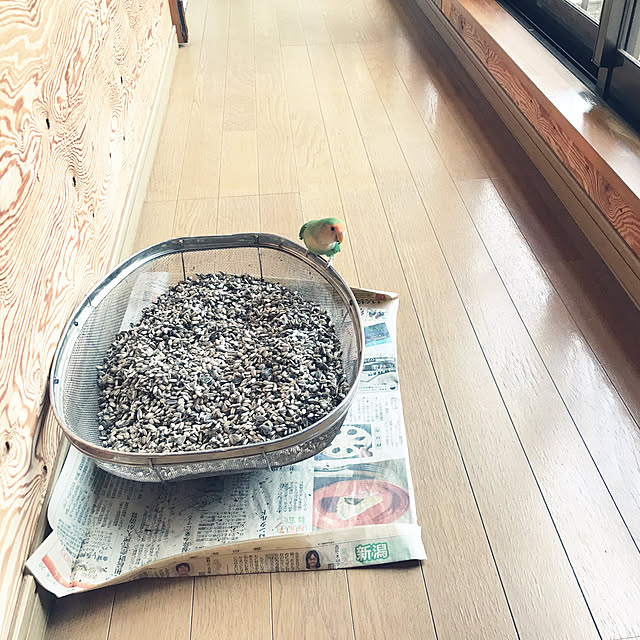 aoinokimiさんの実例写真