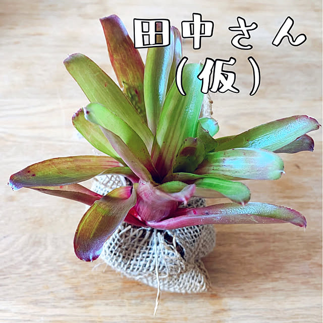 timtamさんの実例写真