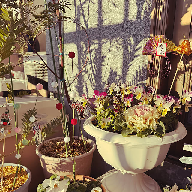 nana7さんの実例写真