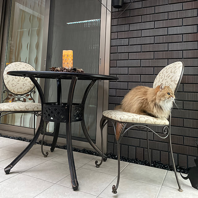 furitamaさんの実例写真
