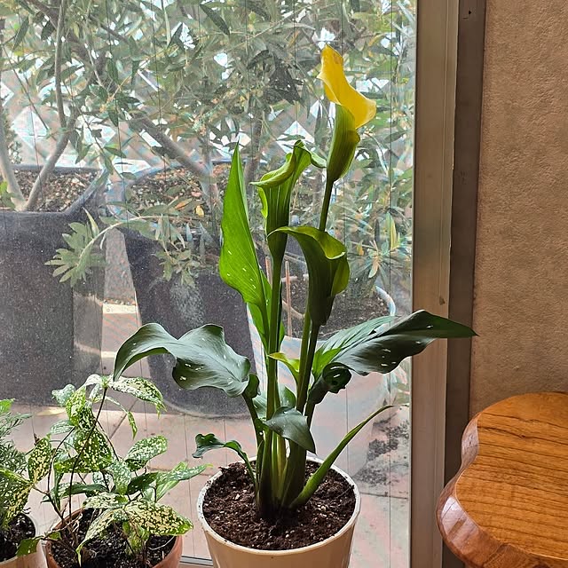 kunyさんの部屋