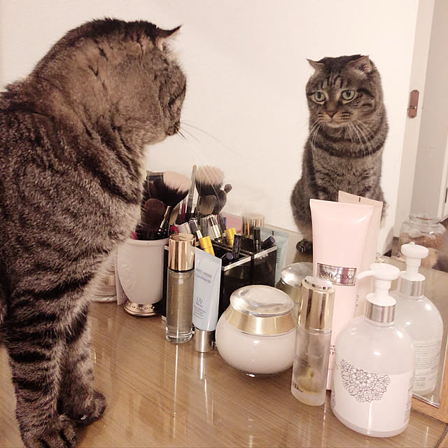 nene6さんの実例写真