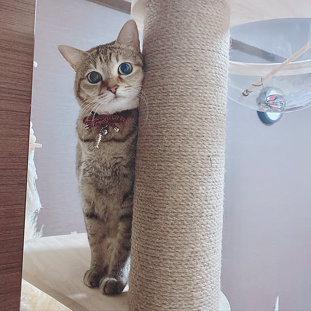 namiさんの実例写真