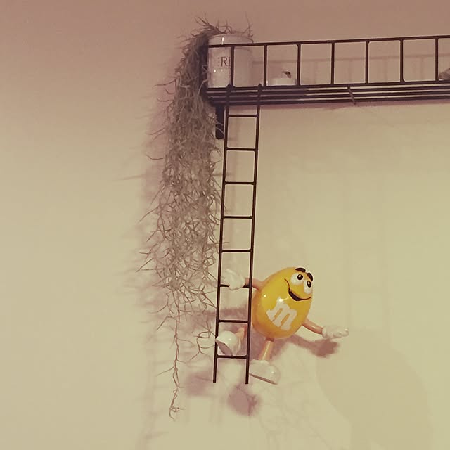 Emoさんの実例写真