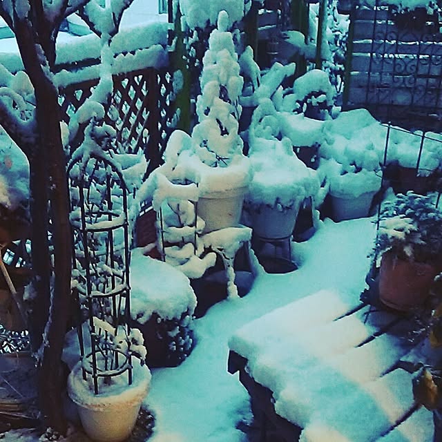 catriene0123さんの実例写真