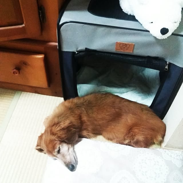 canalさんの実例写真