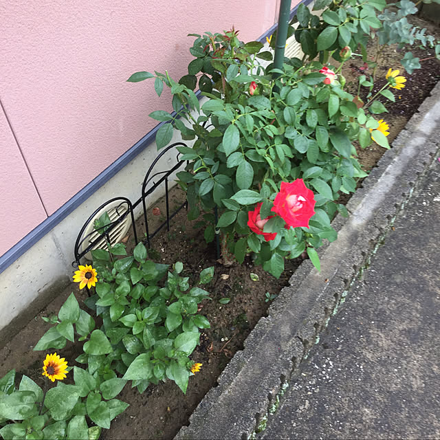 kakoさんの実例写真