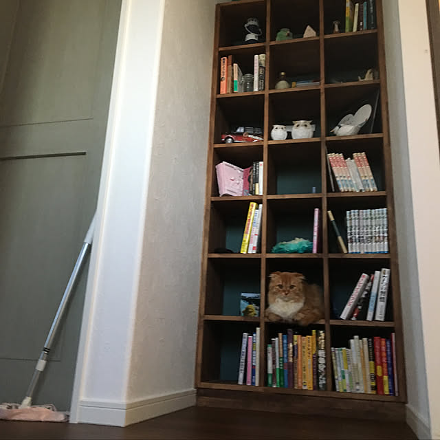 PIYOLANDさんの実例写真