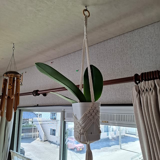 midoriさんの部屋