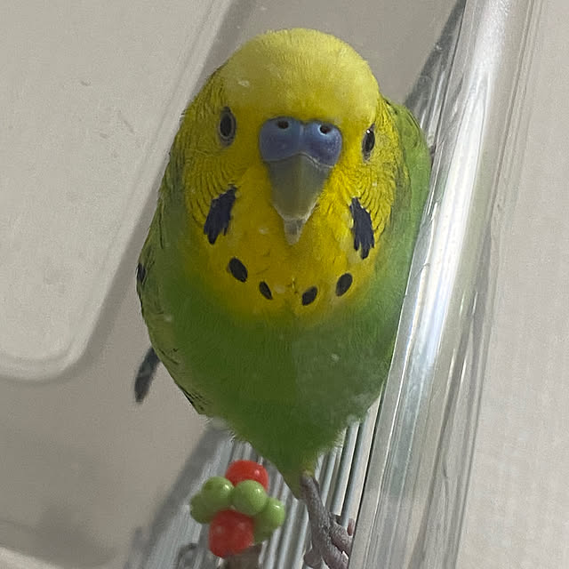 ohanaさんの部屋