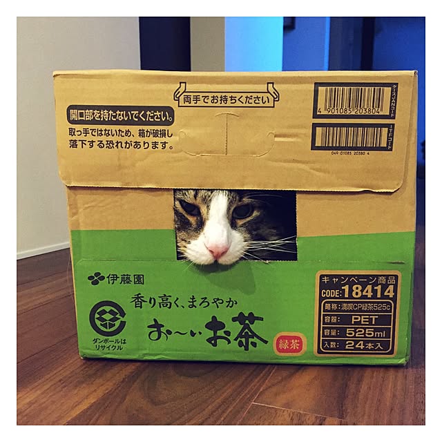 tongarihouseさんの実例写真