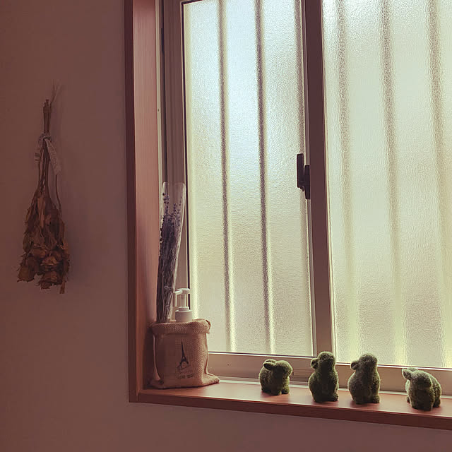 kinakodayoさんの実例写真