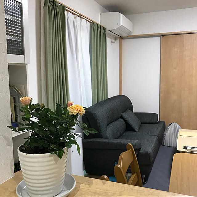minakodeenさんの実例写真