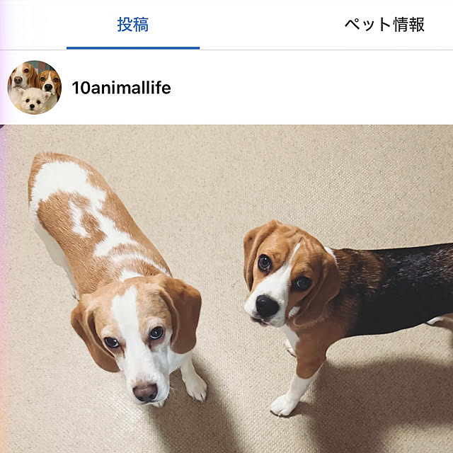 prelumoさんの実例写真