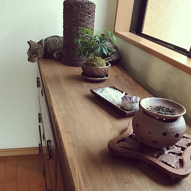 mikan161さんの実例写真