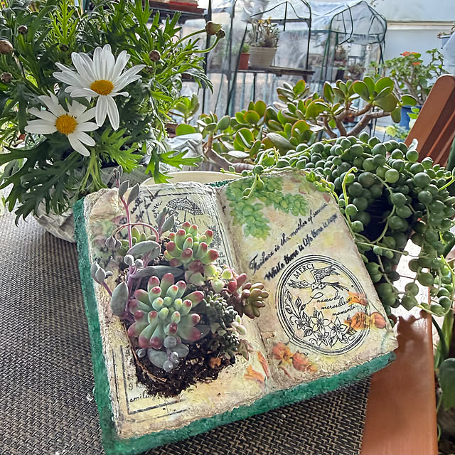 Aqettyさんの実例写真