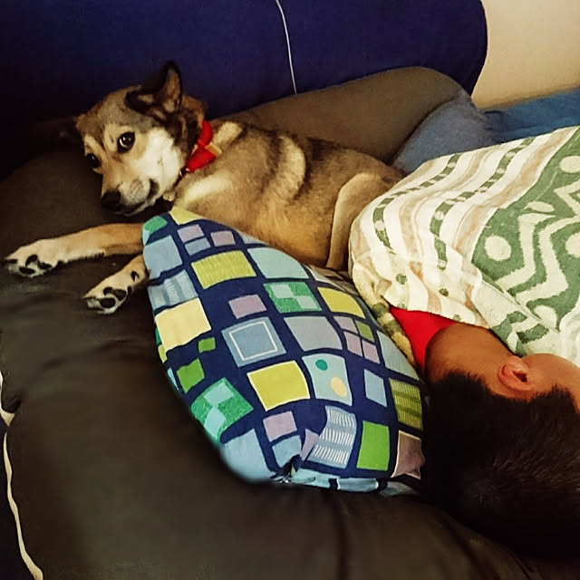 andさんの実例写真