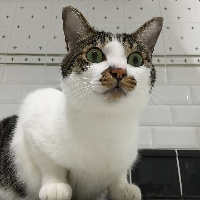 yuchiさんの実例写真