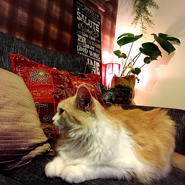 nn_tanakaさんの実例写真