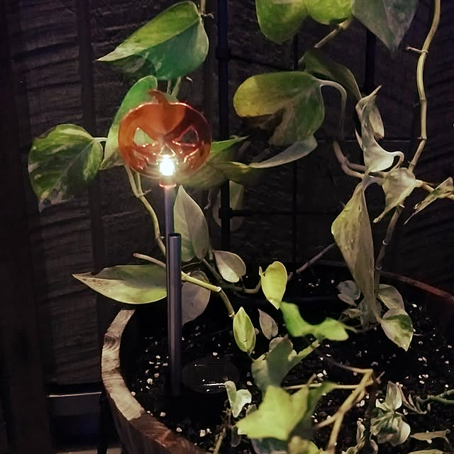 mumumuさんの実例写真