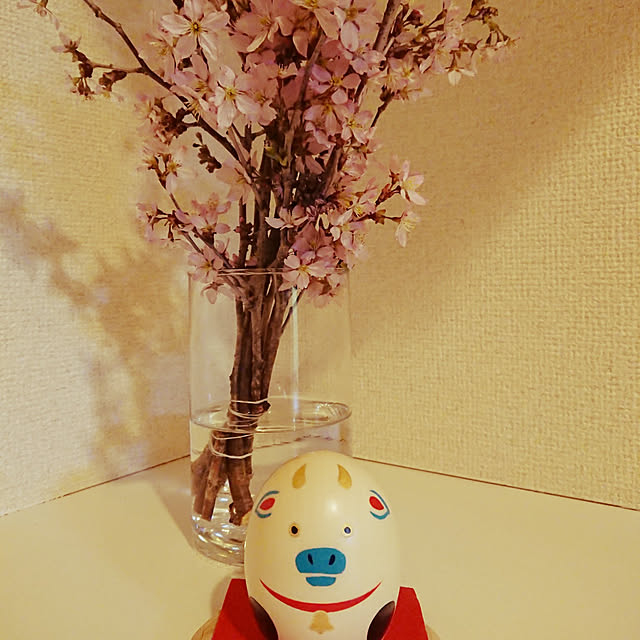 Harukoさんの実例写真