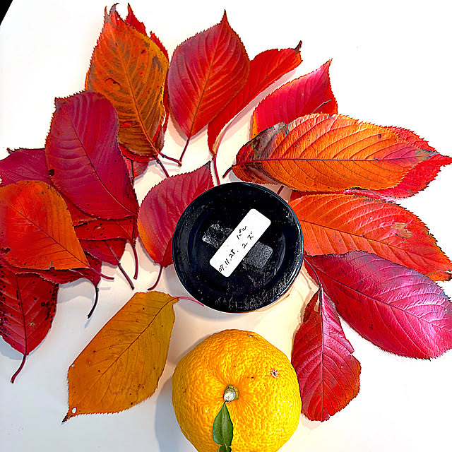 syutmmさんの実例写真