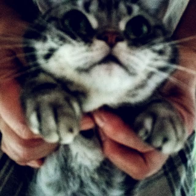 yuutasoさんの実例写真