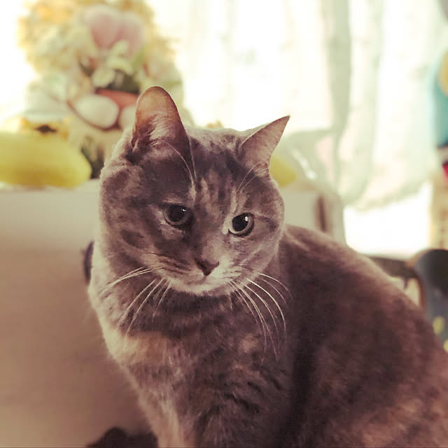 honeyさんの実例写真