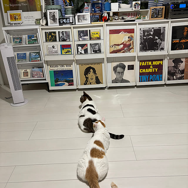 arayanさんの実例写真