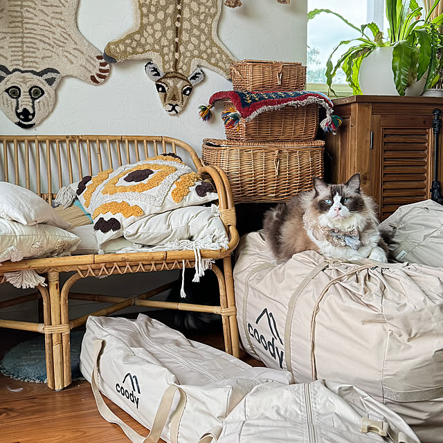 momoさんの部屋