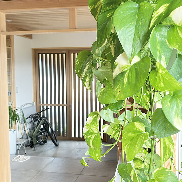 hira_muji_mihiさんの実例写真