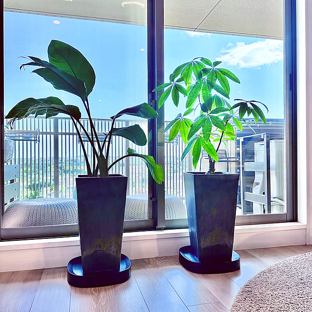 teracoyaWORLDさんの部屋