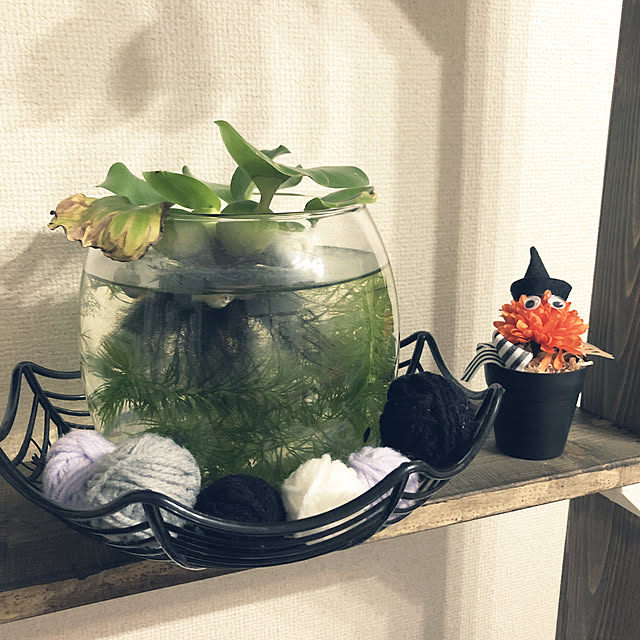 akarichanさんの実例写真