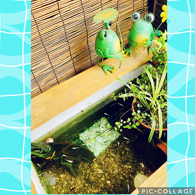 CoCo0617さんの実例写真