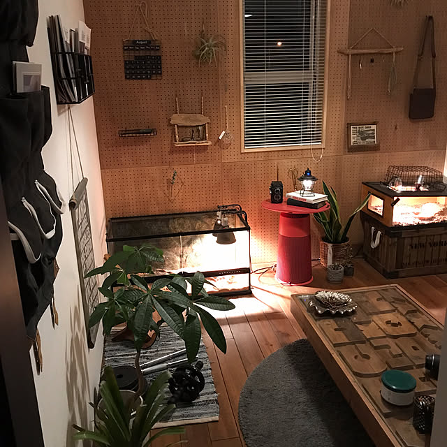 japitonさんの部屋