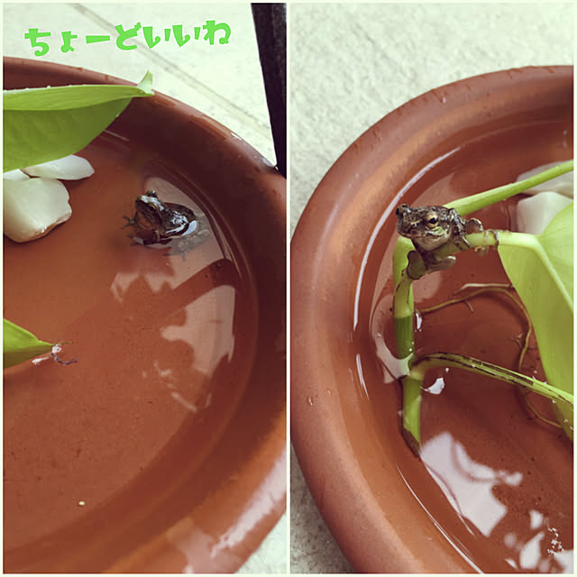 mikasa34さんの実例写真