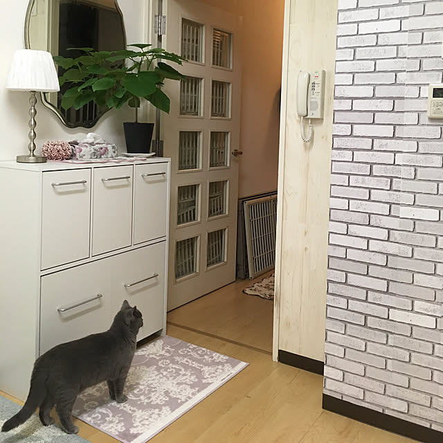 fionaさんの実例写真