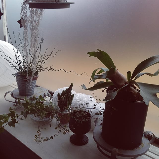 sunmoonさんの実例写真