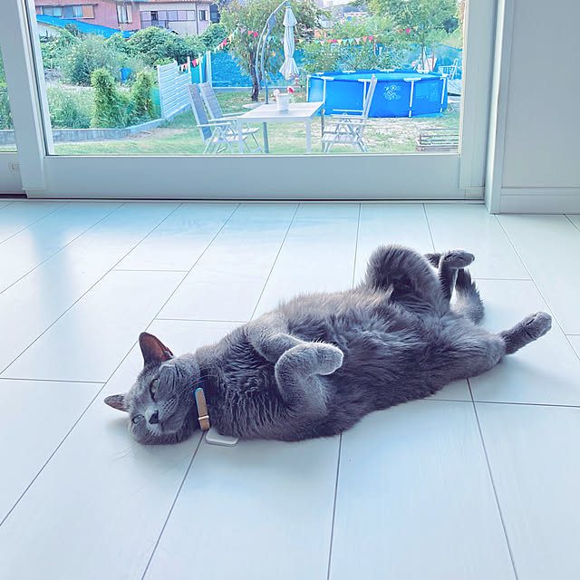 Andreaさんの実例写真
