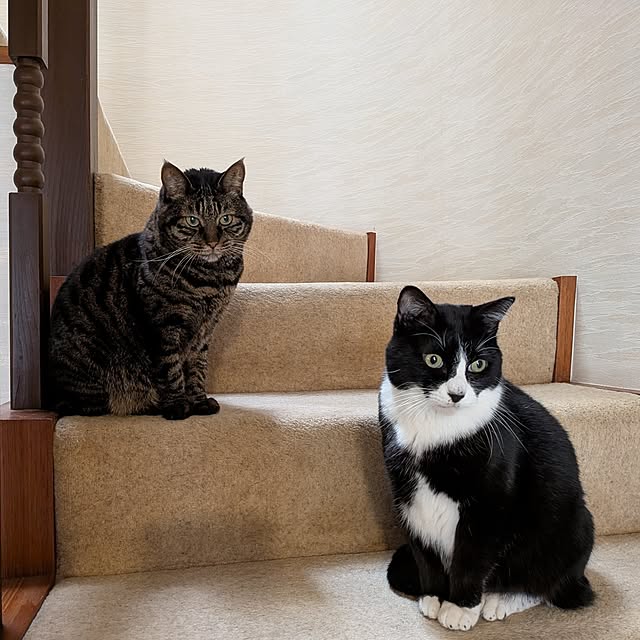 Mayumi8888さんの部屋