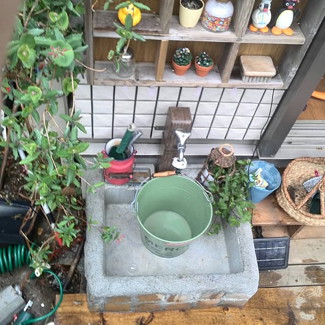 ayuさんの実例写真
