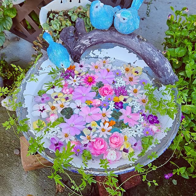 mocomocoさんの実例写真