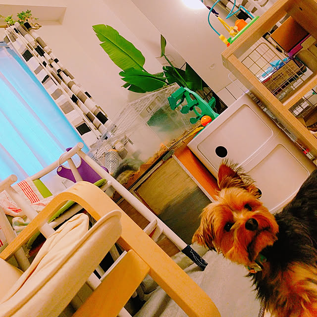 keikomokonさんの実例写真