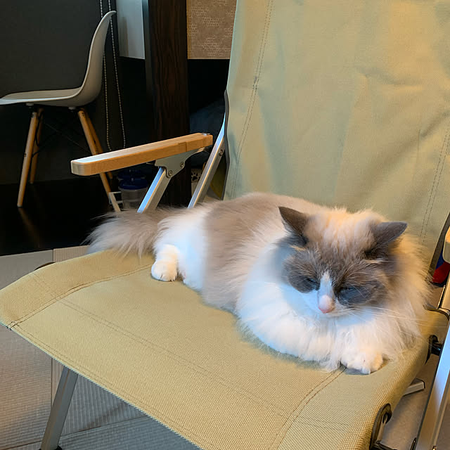 yukiさんの実例写真