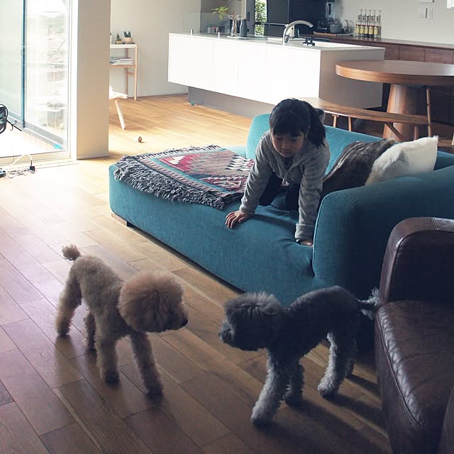 amiagramさんの実例写真